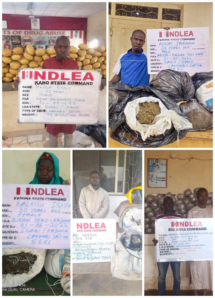 NDLEA SS - THEWILL NEWS MEDIA