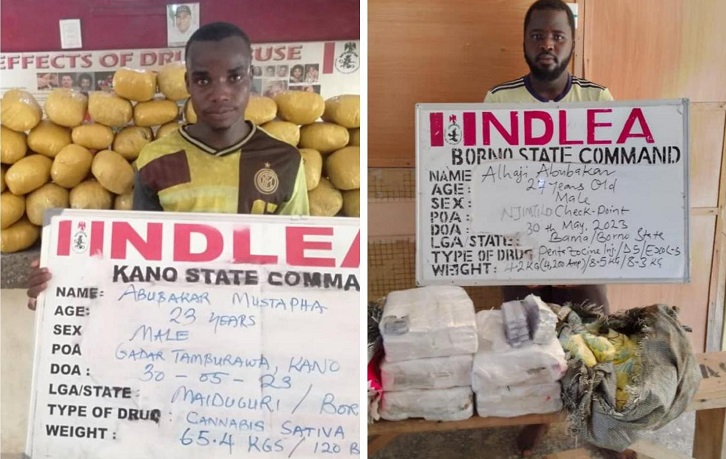 NDLEA - THEWILL NEWS MEDIA