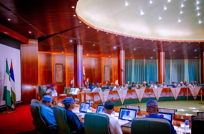 Tinubu FEC 1 - THEWILL NEWS MEDIA