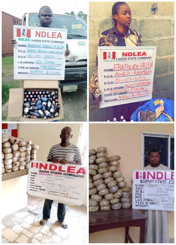 NDLEA codeine - THEWILL NEWS MEDIA
