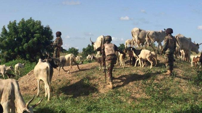 Troops arrest cows