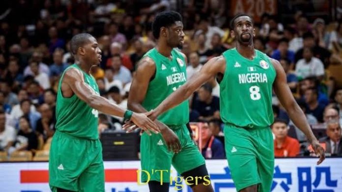 D Tigers