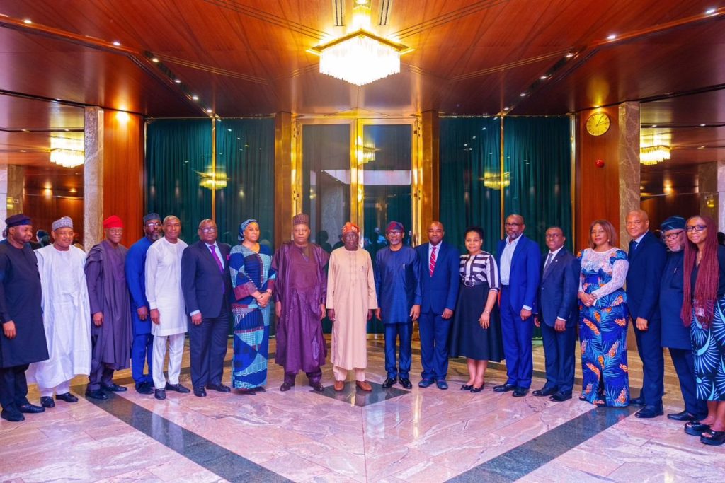 NESG team Aso Villa - THEWILL NEWS MEDIA