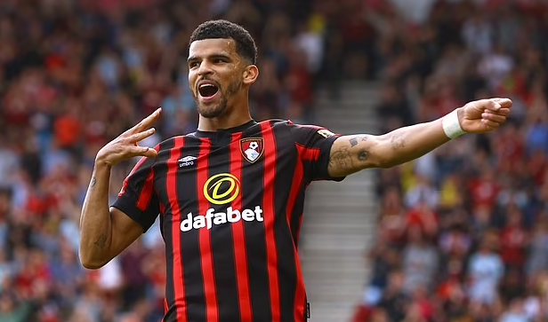 Solanke