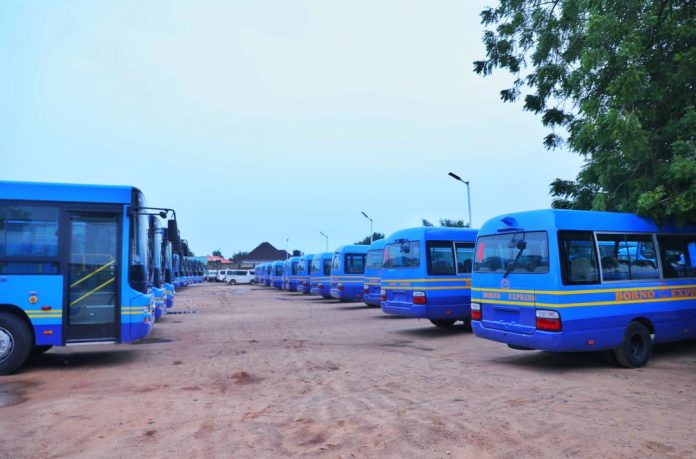 The newly-acquired mass transit buses The newly-acquired mass transit buses