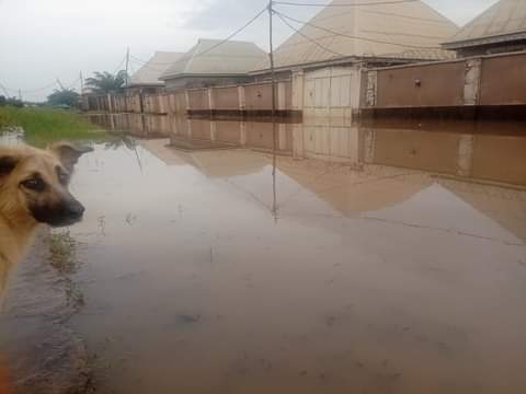 flood