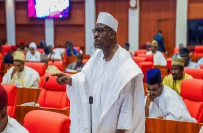 Senator Mohammed Ali Ndume