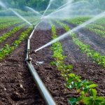 Kano State To Boost Irrigation Farming With Over 20 Dams dam