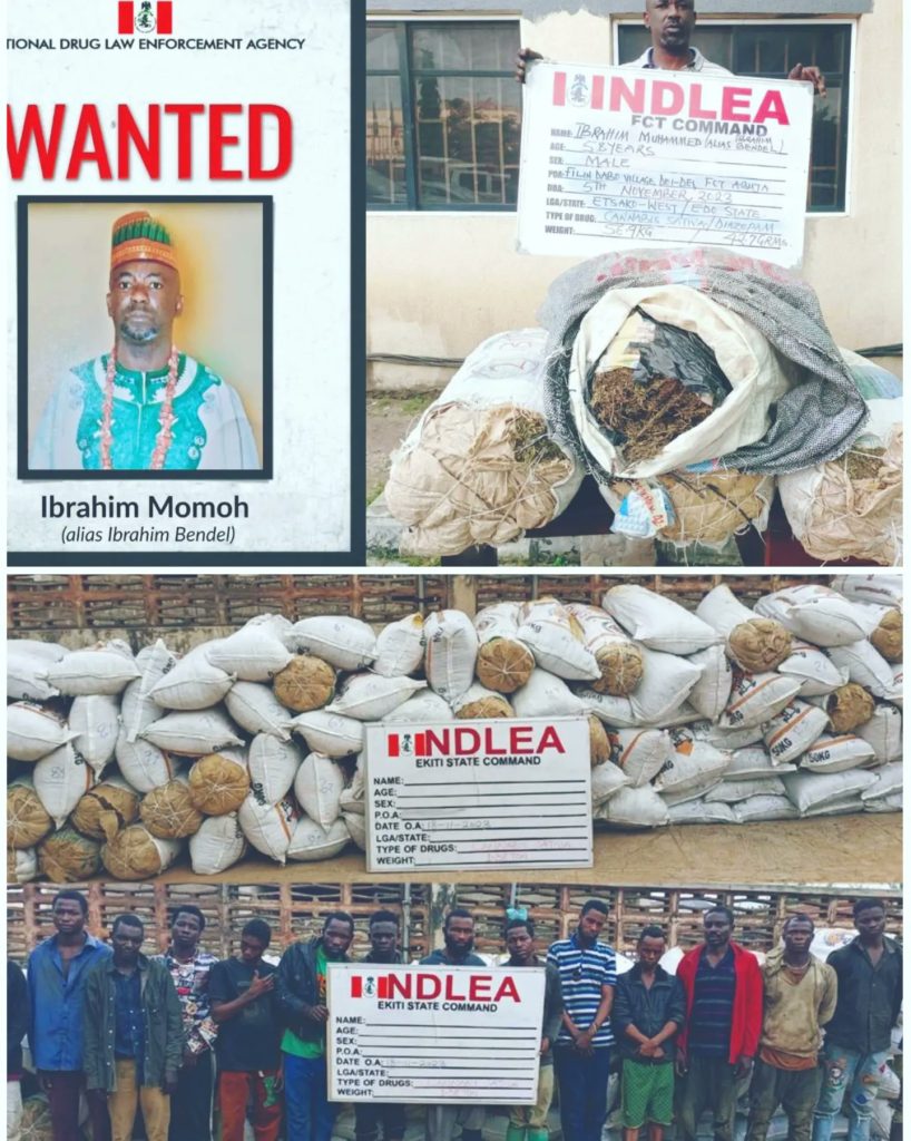Ibrahim Momoh - THEWILL NEWS MEDIA