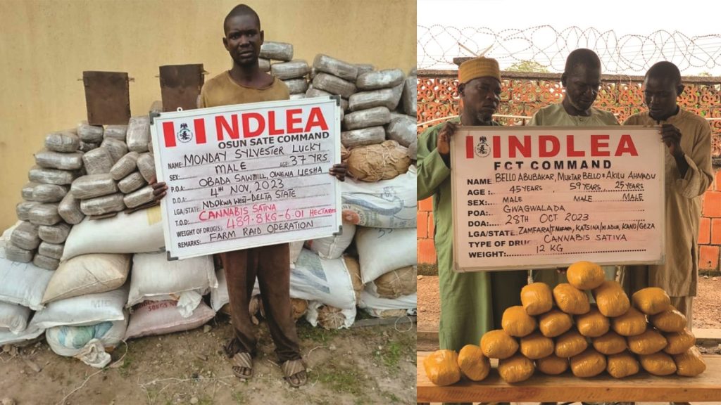 Ndlea - THEWILL NEWS MEDIA