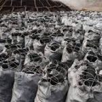 Charcoal Scarcity Hits Kano, Residents Revert To Firewood
