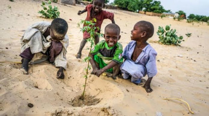 Lake chad