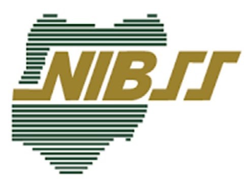 NIBSS NIBSS