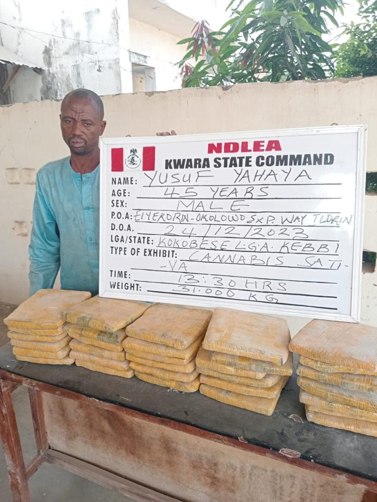 Ndlea Abia - THEWILL NEWS MEDIA