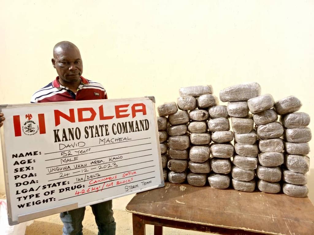 Ndlea Kano s - THEWILL NEWS MEDIA