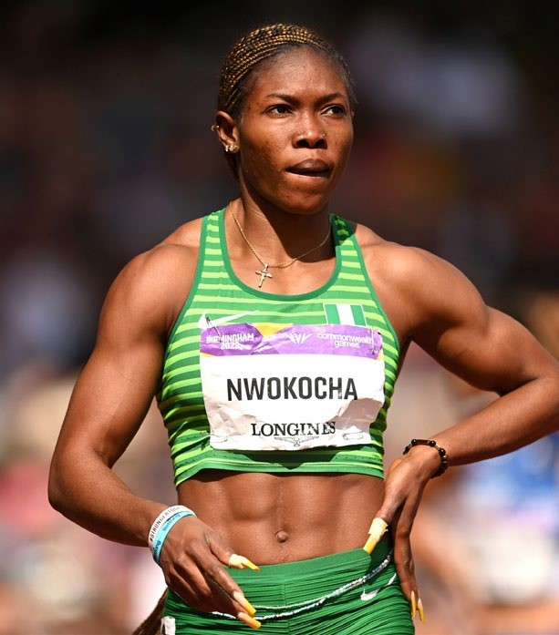 Nwokocha - THEWILL NEWS MEDIA Nwokocha