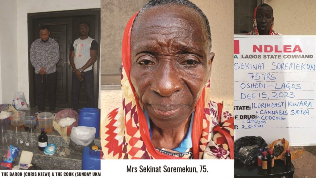Soremekun - THEWILL NEWS MEDIA
