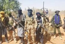 THEWILL EDITORIAL: End Game for Terrorists Terrorists