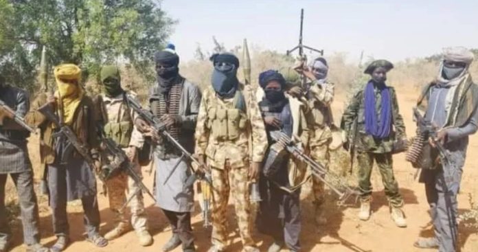 Terrorists