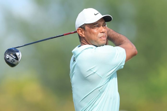 Tiger Wood