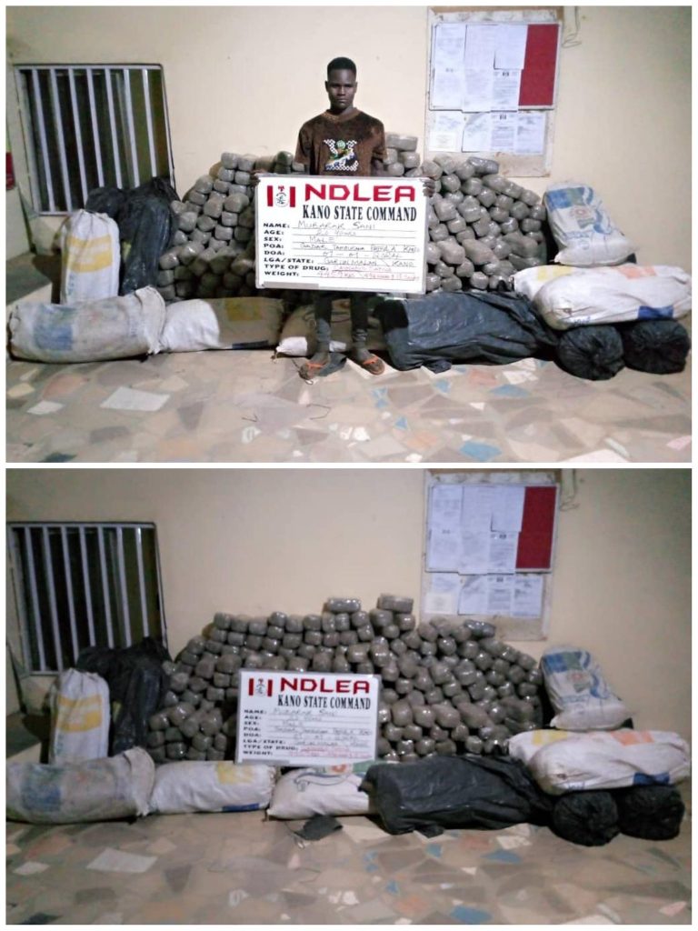 ndlea - THEWILL NEWS MEDIA