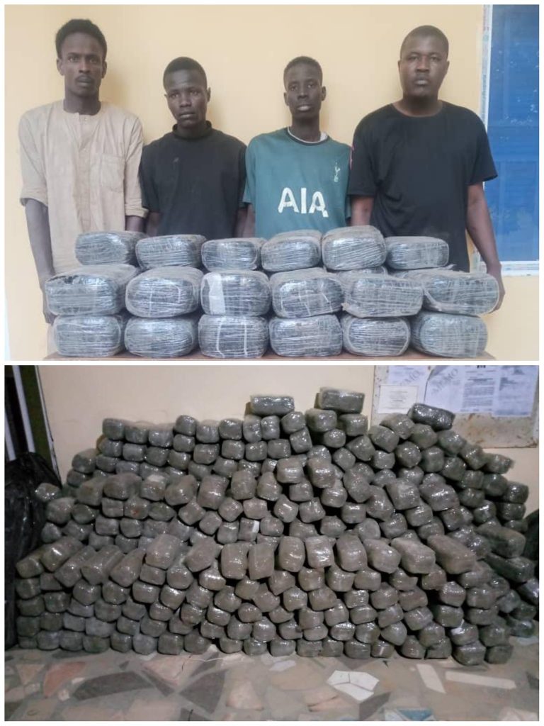 ndlea - THEWILL NEWS MEDIA