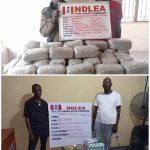 Brazil Returnee Excretes 60 Wraps Of Cocaine, NDLEA Declares Ex-beauty Queen Wanted