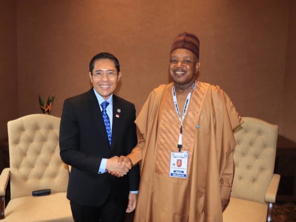 South Summit of the Group of 77 and China - THEWILL NEWS MEDIA