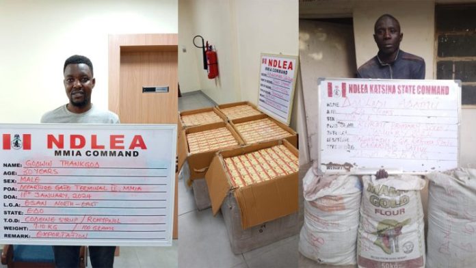 Ndlea