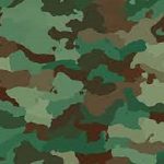 ONSA Bars NSCDC, Immigration, Fire Service From Wearing Camouflage Camouflage