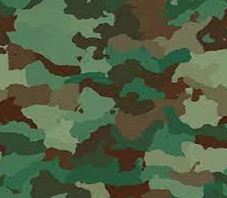 Camouflage Camouflage