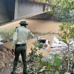 Multiple Crashes On Ogun Bridge As Car Plunges Into River