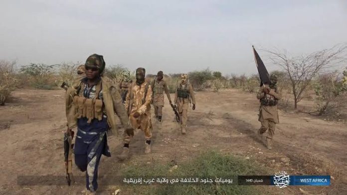 Terrorists