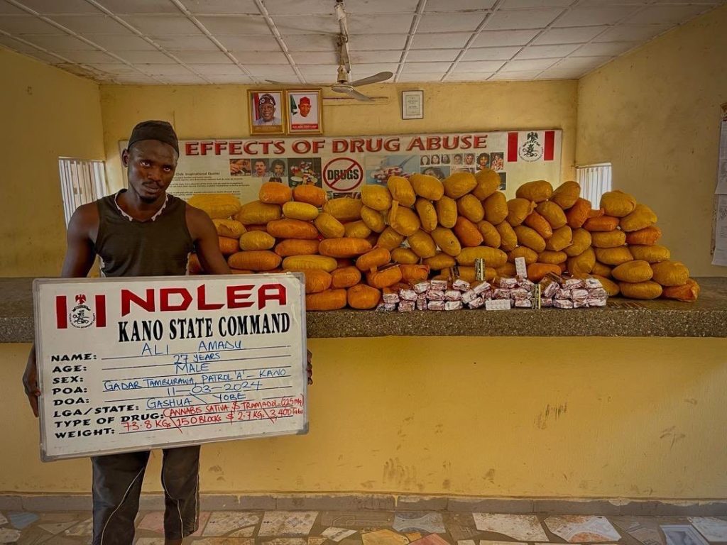 Kano Ndlea - THEWILL NEWS MEDIA Kano Ndlea