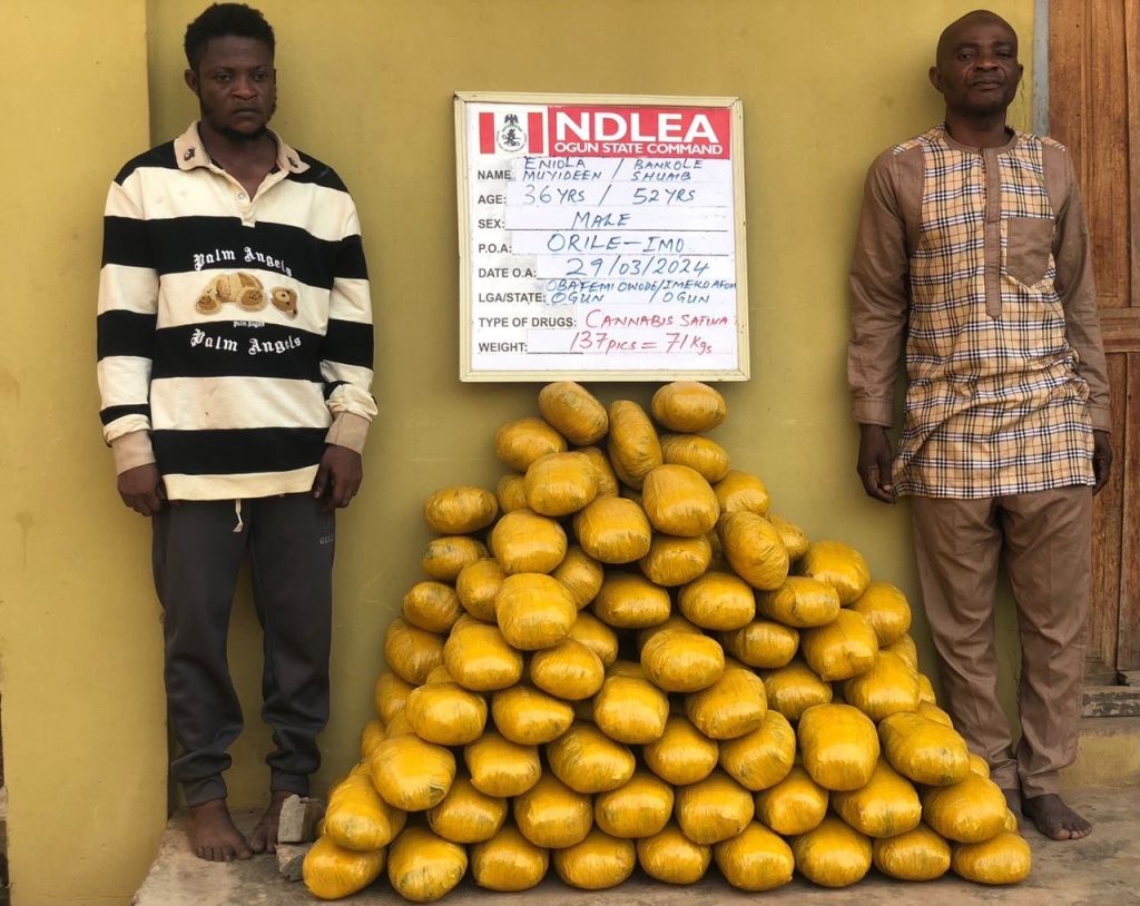 Ndlea - THEWILL NEWS MEDIA Ndlea
