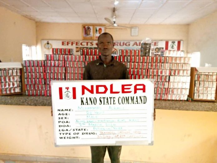 Ndlea kano 2