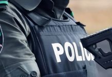 THEWILL EDITORIAL: State Police, at Last Nigerian-police