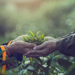 Boosting Agricultural Production To Fight Hunger