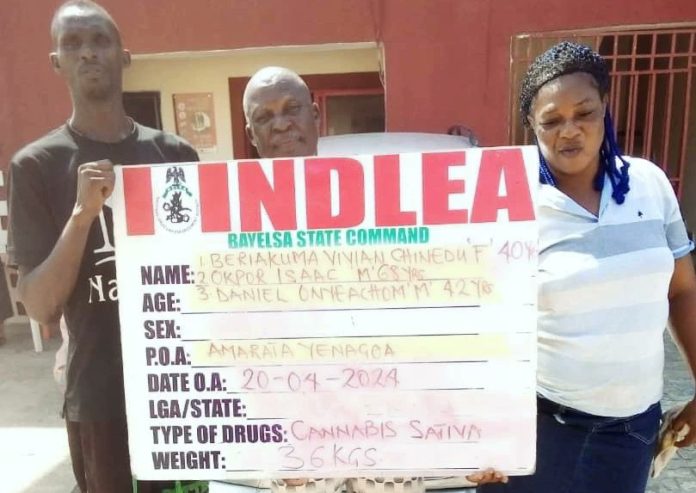 ndlea