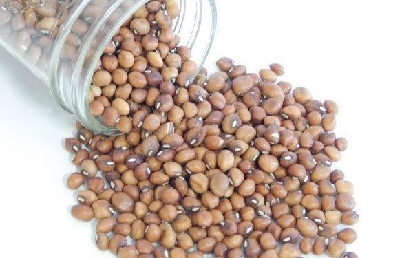 Cowpea seeds Cowpea seeds