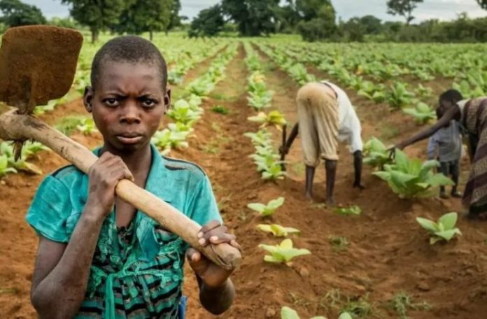 children in agric