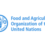 Food Security: FAO Distributes Farm Inputs To 25,825 Households In Borno
