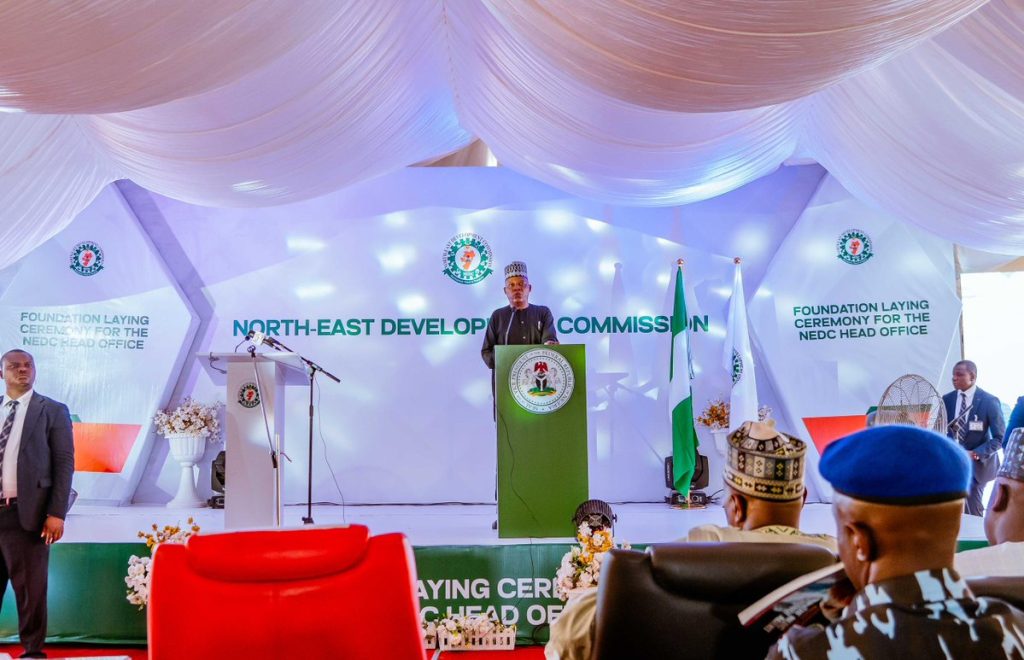 Shettima NEDC - THEWILL NEWS MEDIA Shettima NEDC