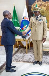 Dangote President Brice Oligui Nguema of Gabon - THEWILL NEWS MEDIA Dangote President Brice Oligui Nguema of Gabon