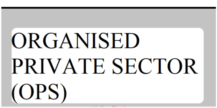 Organised Private Sector of Nigeria (OPSN)