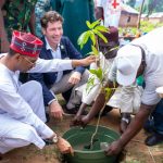 Great Green Wall: Group Promotes Tree Planting, Clean Cooking Methods In Sokoto Tree-planting-campaign-in-Kano