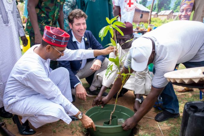 Tree-planting-campaign-in-Kano