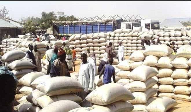 Dawanau Grains International Market Association Dawanau Grains International Market Association