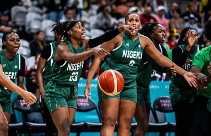 D'tigress D'tigress