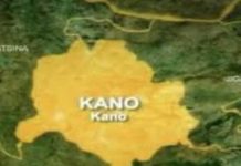 THEWILL EDITORIAL: Confusion in Kano Over LG Polls Kano-state